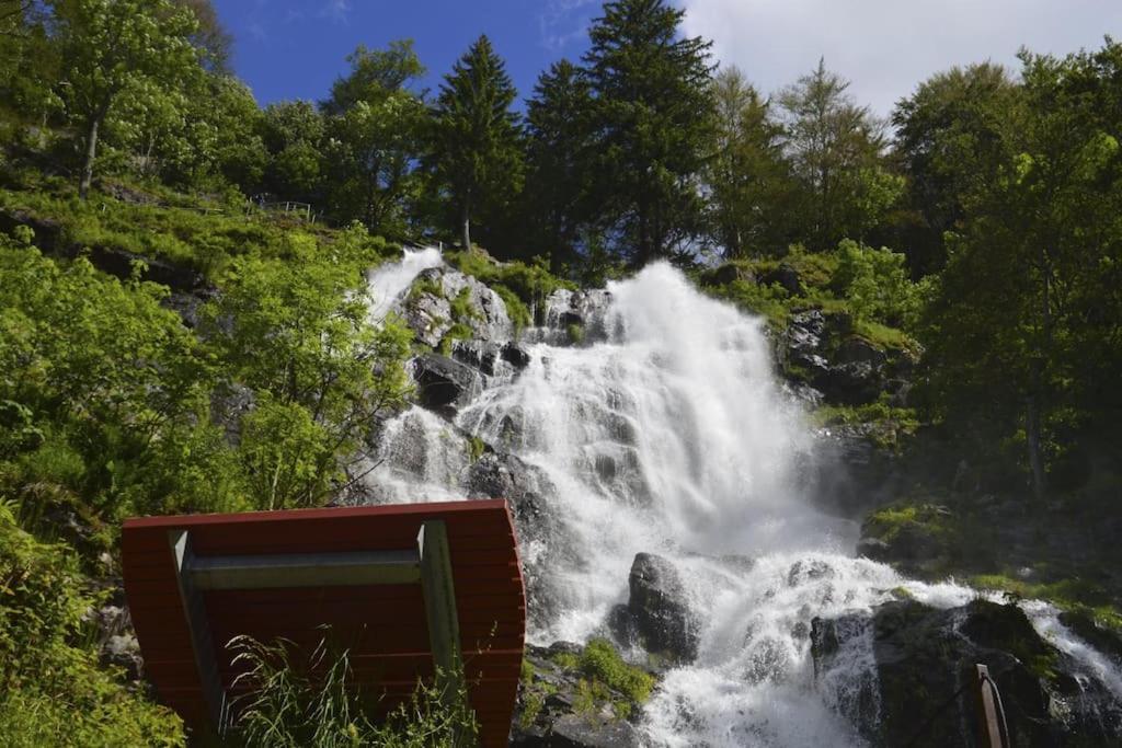 Waldtwin 2 Titisee Экстерьер фото