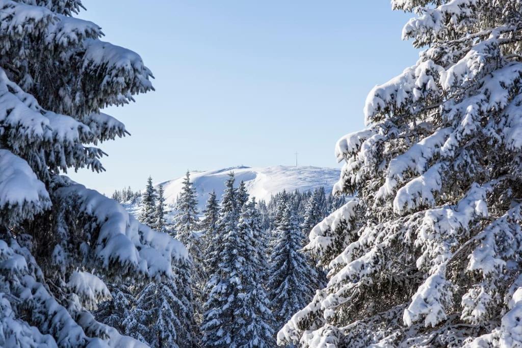 Waldtwin 2 Titisee Экстерьер фото
