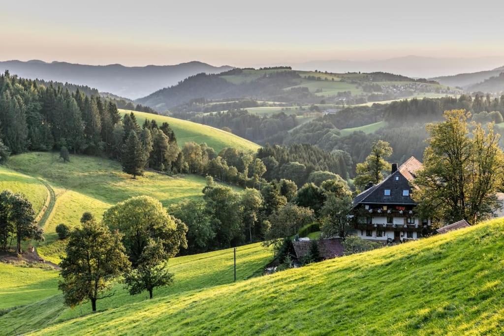 Waldtwin 2 Titisee Экстерьер фото