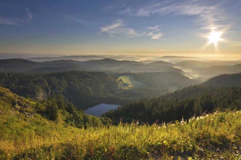 Waldtwin 2 Titisee Экстерьер фото
