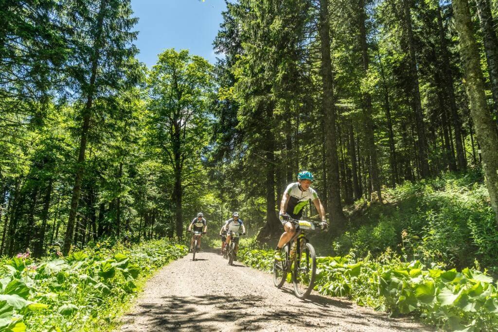 Waldtwin 2 Titisee Экстерьер фото
